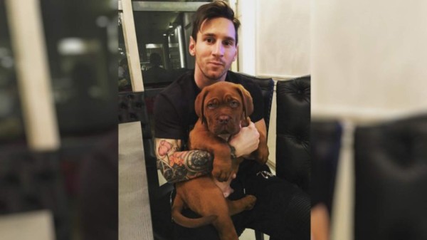 Los espectaculares perros de los futbolistas en el #DíaDelPerro