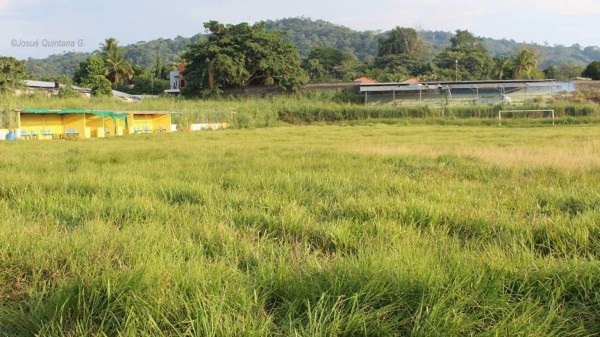 Jugadores del Tela FC dejan el balón a un lado y comienzan a limpiar el estadio Alfredo León Gómez