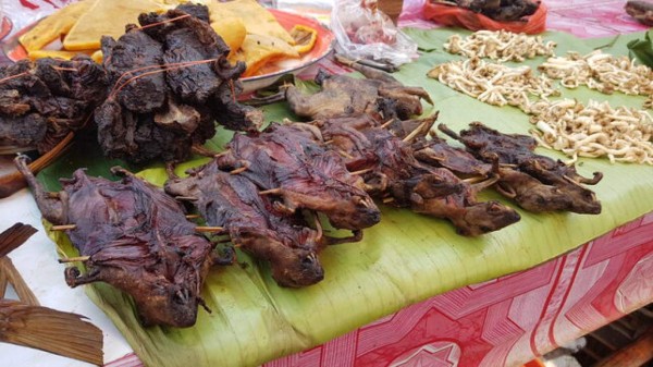 ¡Coronavirus! China prohíbe venta y consumo de carne de animales silvestres en Wuhan