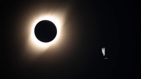 Las impactantes fotos de un atleta volando en pleno eclipse solar