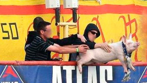 Las 10 cosas más raras lanzadas por los aficionados a un campo de fútbol