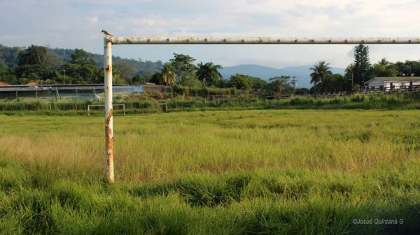 Jugadores del Tela FC dejan el balón a un lado y comienzan a limpiar el estadio Alfredo León Gómez