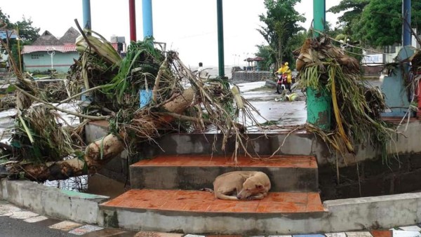 Desoladoras imágenes las que dejó el paso del Huracán Eta por el Caribe Norte de Nicaragua