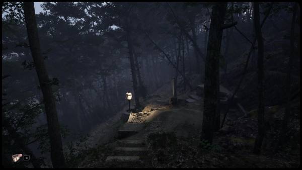 El bosque durante la noche puede perfectamente convertirse en el escenario de una película de terror.