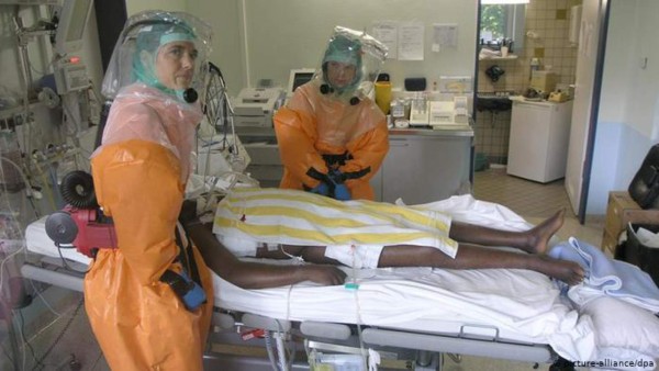 ¡Transmitidos por ratas, monos y aves! Estos son los 10 virus más letales en el mundo