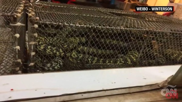 Coronavirus: Así es el perturbador mercado donde se originó la terrible enfermedad