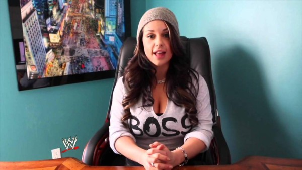 Filtran fotos íntimas de Kaitlyn, la ex diva de la WWE