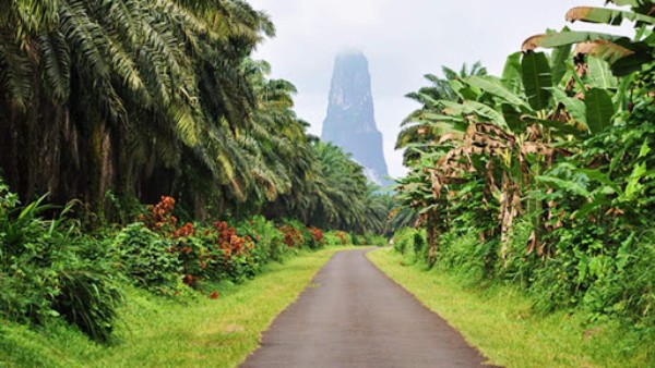 Los seis países africanos que no registran oficialmente casos de coronavirus