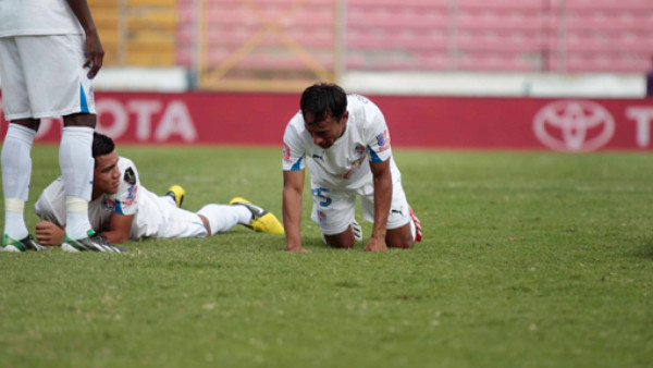 Enjambre de abejas mandó al suelo a jugadores de Olimpia y Real Sociedad