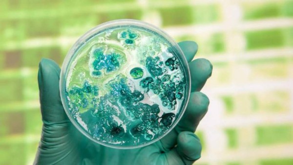 Las catástrofes del futuro en la tierra y Eric Cantona también se suma a las predicciones