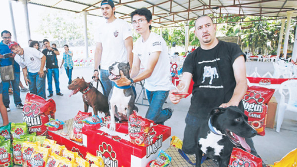 El 'Usain Bolt” de las pruebas caninas