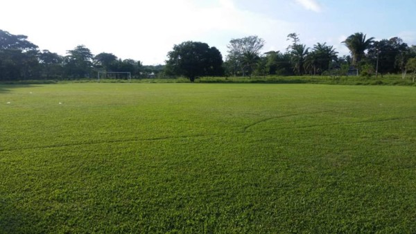 FOTOS: Exóticas canchas en Honduras donde juegan fútbol burocrático