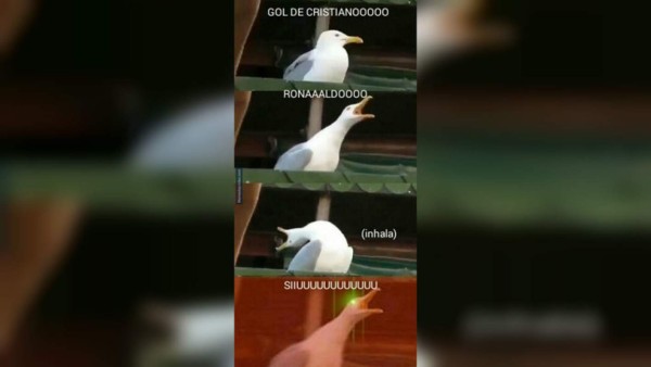 ¡TERRIBLES! Cristiano Ronaldo salva a Portugal y los memes se hacen presentes