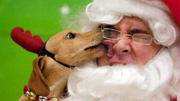 Deporte, música y diversión para celebrar la Navidad.