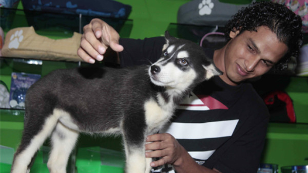 'Admiro a Amado Guevara': Lobo