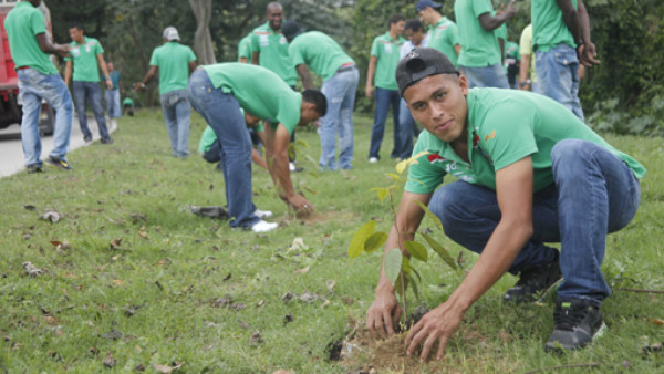 Marathón sembró 300 árboles en San Pedro Sula