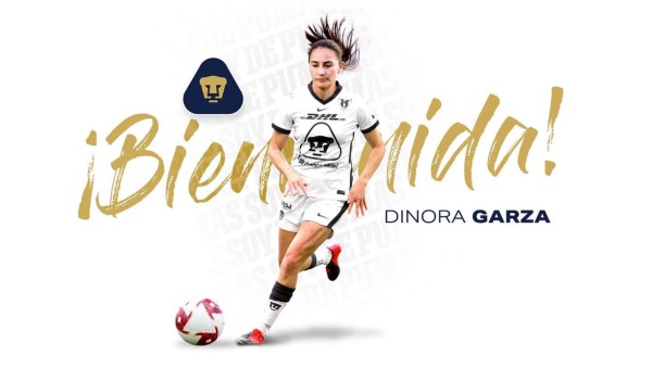 Mercado Liga MX: Dos mexicanos a España, bombazo de Edson Álvarez y América ya tiene acuerdo con DT