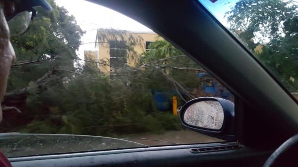 EN FOTOS: Fuerte tormenta eléctrica desata caos en San Pedro Sula