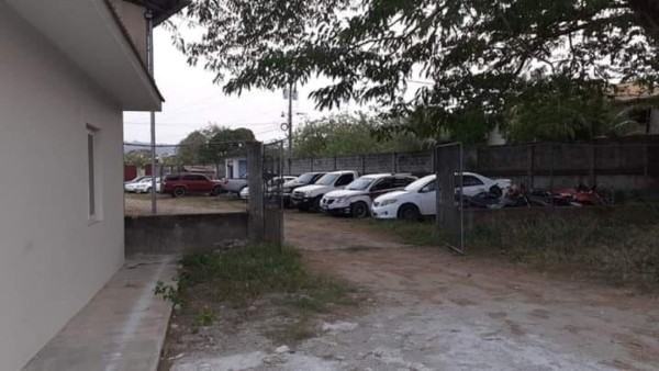 ¡El césped más verde! Así lucen los estadios de Honduras en esta cuarentena