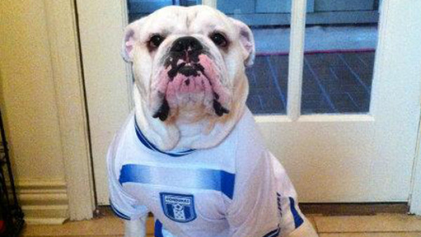 Hondureños en el extranjero vibrando por la Bicolor