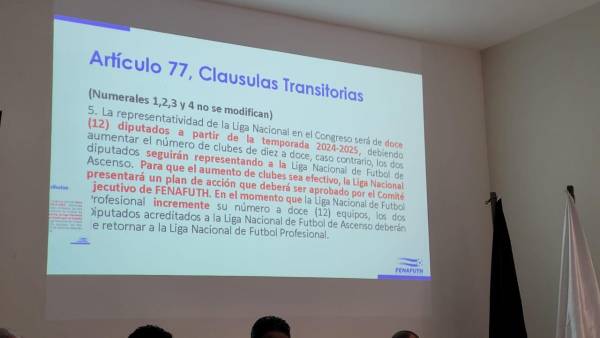 El 2023 será el último año en el que la Liga Nacional se dispute con 10 equipos; el 2024 será histórico con el aumento de clubes en primera división.