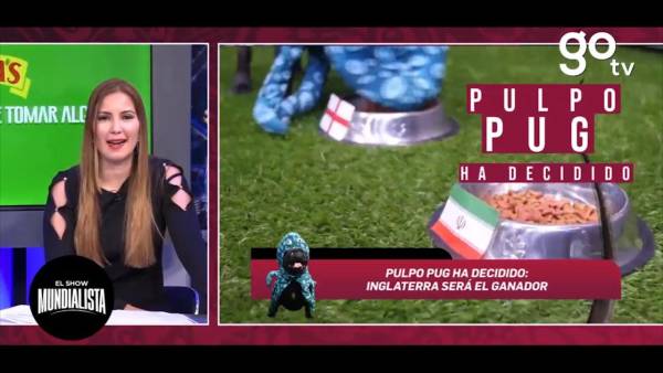 Jenny Fernández, productora y presentadora del Show Mundialista, se muestra sorprendida al ver las predicciones con mucha lógica del Pulpo Pug.