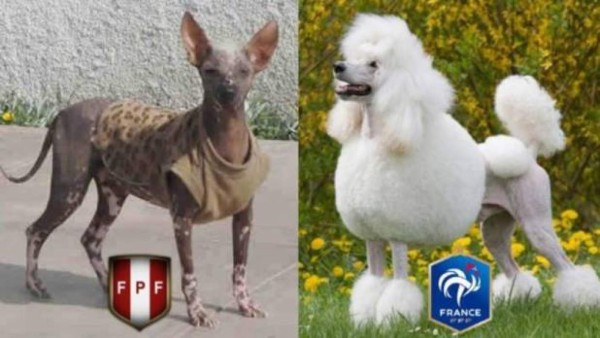 Los terribles memes de la eliminación de Perú del Mundial de Rusia 2018