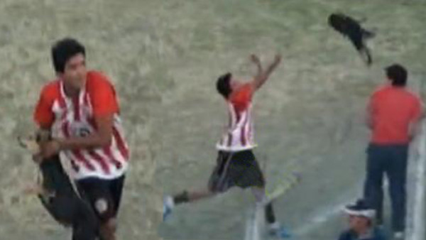 VIDEO: Futbolista crea caos tras lanzar un perro a los aficionados
