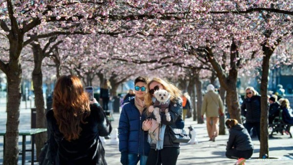 Fotos: Bielorrusia a contracorriente del coronavirus, la vida y el fútbol siguen casi con normalidad