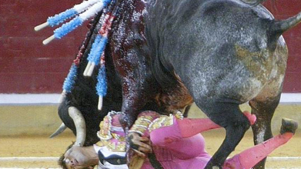 Grave el torero que recibió dramática embestida de un toro