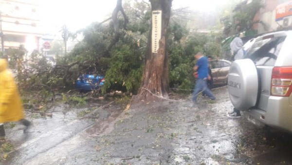 FOTOS: Caos, túneles inundados y destrucción deja fuerte lluvia en Tegucigalpa