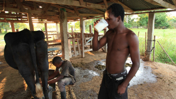 Visitando Nueva Armenia con el 'Muñeco'