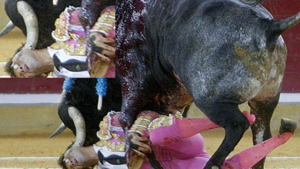 Grave el torero que recibió dramática embestida de un toro
