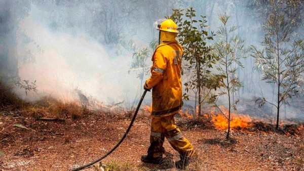 Grave sequía en Australia: 'Centenas de miles' de peces aparecen muertos