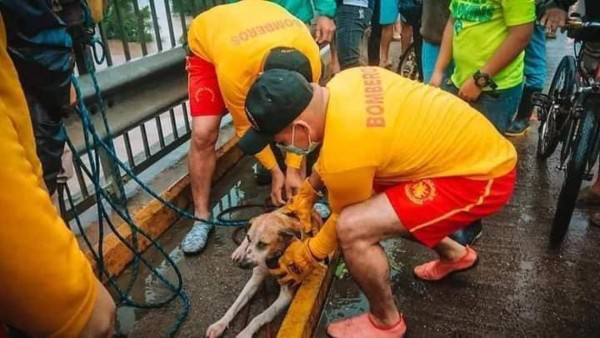 ¡Inundaciones, evacuaciones y rescates! Huracán Eta descarga su furia en territorio hondureño