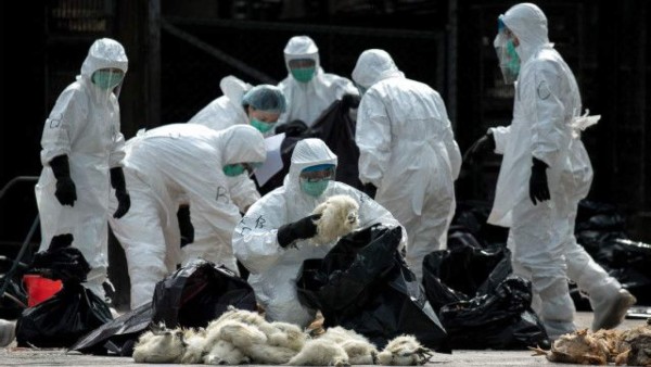 Las pandemias más mortíferas que han azotado a la humanidad a lo largo de la historia