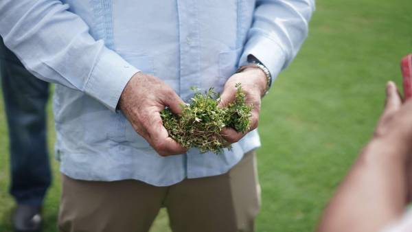 El alcalde de San Pedro Sula sostiene en sus manos la maleza que posee la cancha del Morazán. FOTO: Mauricio Ayala.