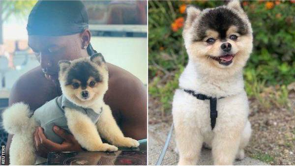 El ex de la Premier ofreció un dinero para quien le entregase a su perro y nunca cumplió con su palabra. Ahora, los tribunales han decidido que tiene que abonar lo que prometió.