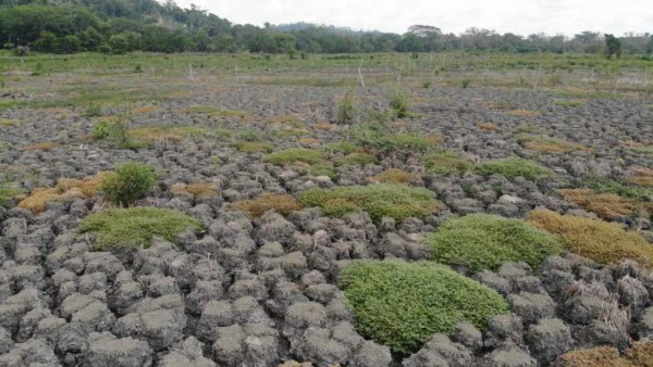 Fotos: Lluvias torrenciales del ciclón Eta resucitaron lagunas desaparecidas en San Pedro Sula
