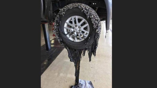 Grave sequía en Australia: 'Centenas de miles' de peces aparecen muertos