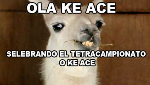 'Con memes celebra el Olimpia'