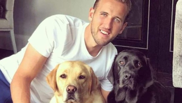 Conocé a las mascotas de los hondureños y otros futbolistas por el mundo