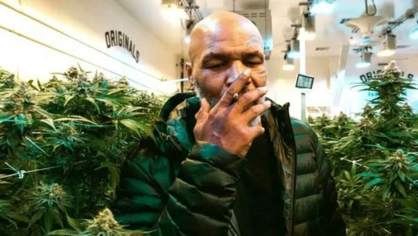 Confesiones de Mike Tyson: la peor droga que consumió, su negocio con la marihuana y sus otras adicciones