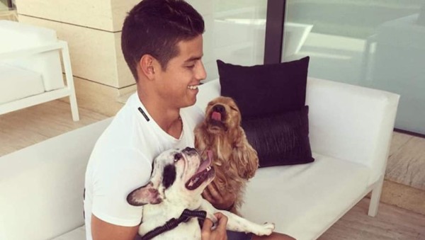 Conocé a las mascotas de los hondureños y otros futbolistas por el mundo