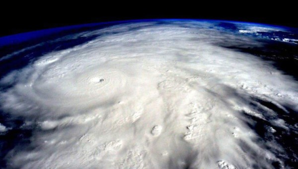 Las catástrofes del futuro en la tierra y Eric Cantona también se suma a las predicciones