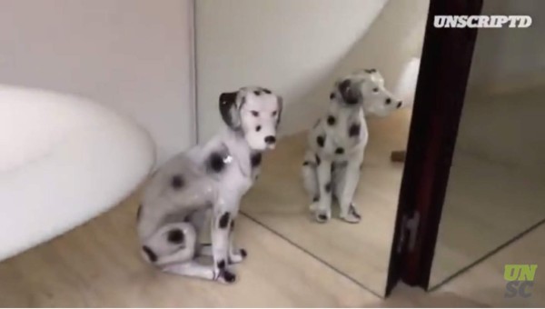 ¡DE LUJO! Conocé la casa por dentro de Cristiano Ronaldo