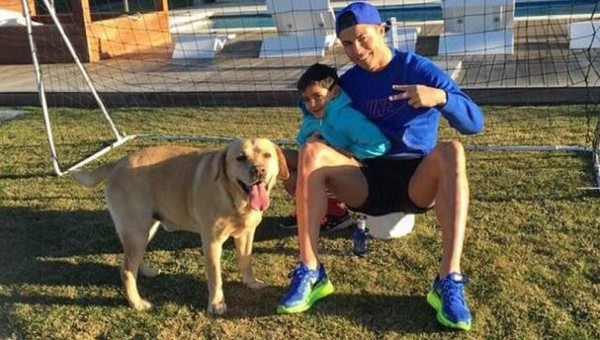 Las mascotas de las estrellas del fútbol mundial&nbsp;