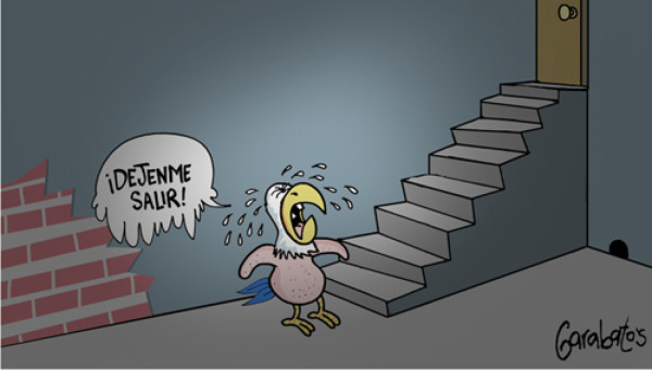 Humor Deportivo en el fútbol de Honduras