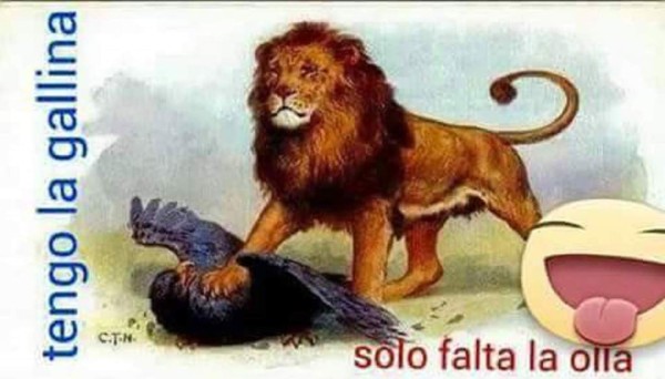 ¡Crueles! Así atacan al Motagua con memes tras perder el clásico ante el Olimpia