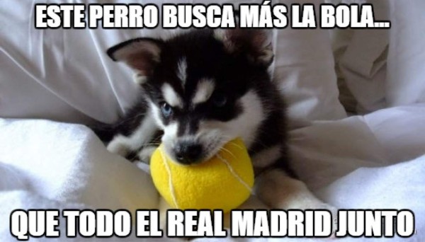 La derrota del Real Madrid ante Barcelona es víctima de memes en redes sociales
